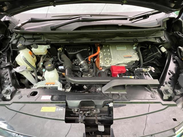 24561824_carP_l_16.jpg