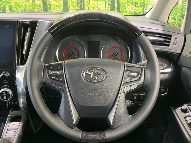 24953506_carP_l_6.jpg