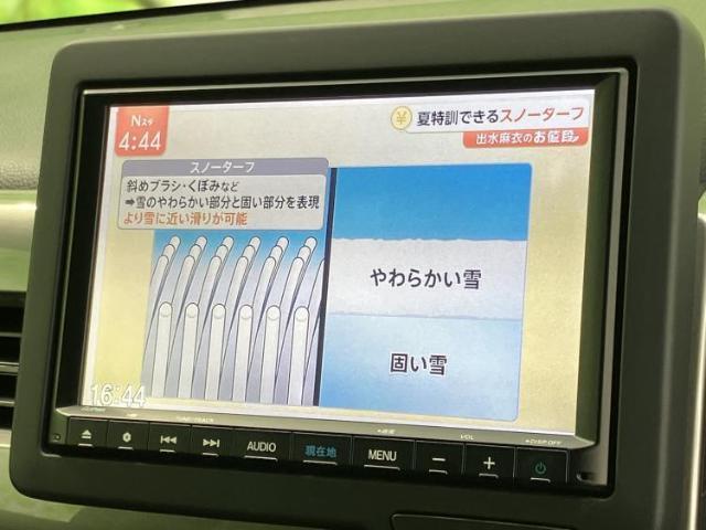 22181765_carP_l_7.jpg