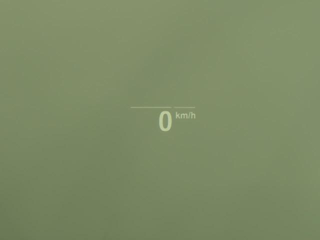 24254800_carP_l_17.jpg