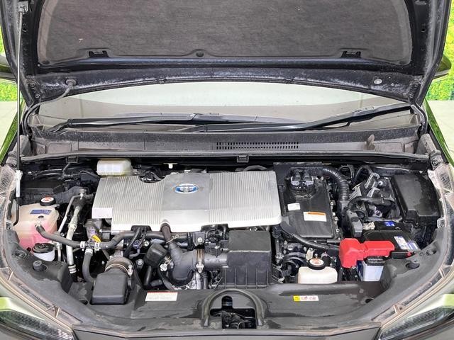 25486867_carP_l_16.jpg