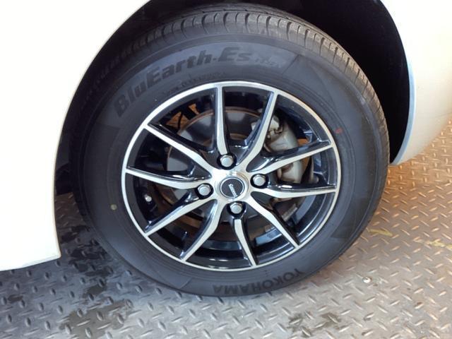 22310032_carP_l_11.jpg