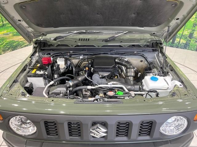 25241571_carP_l_16.jpg