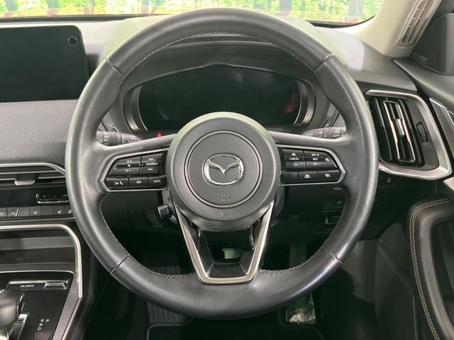 24562300_carP_l_5.jpg