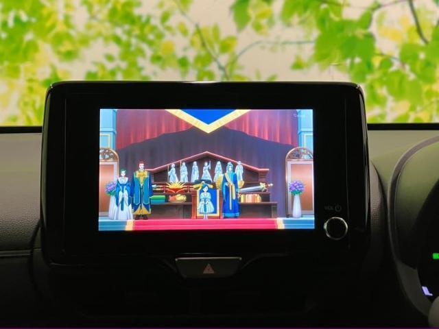23150512_carP_l_5.jpg