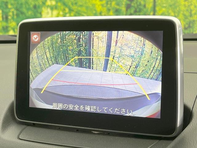 23945217_carP_l_4.jpg