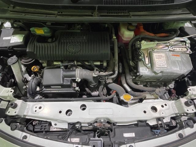 24767871_carP_l_16.jpg
