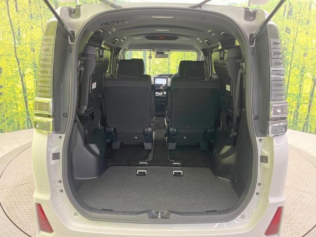 26557236_carP_l_5.jpg