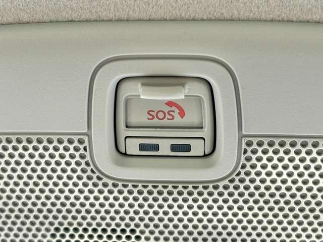 23108007_carP_l_10.jpg