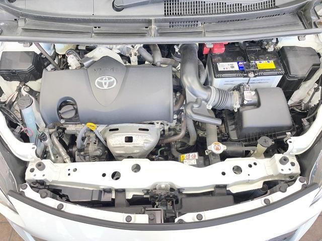 25426171_carP_l_16.jpg