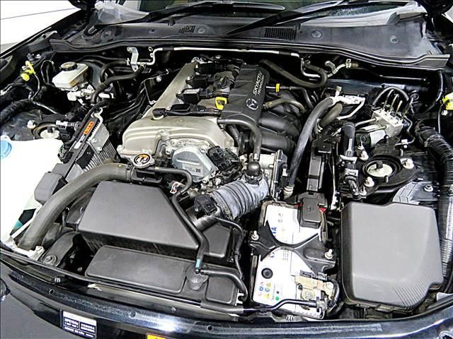 24950279_carP_l_20.jpg