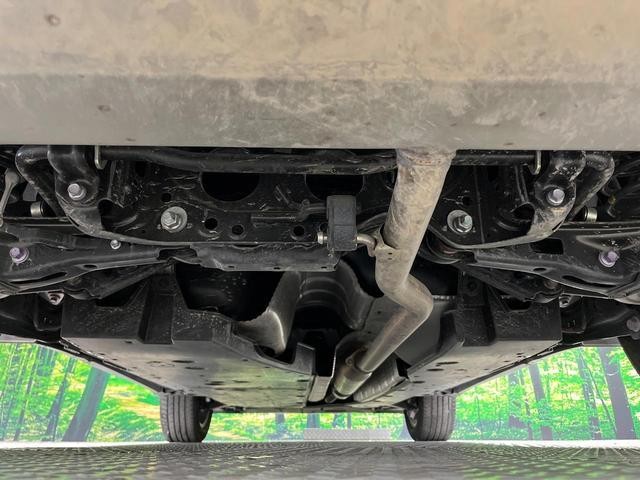 25303716_carP_l_18.jpg