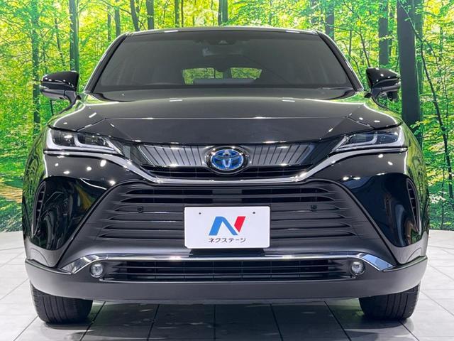 24441111_carP_l_8.jpg