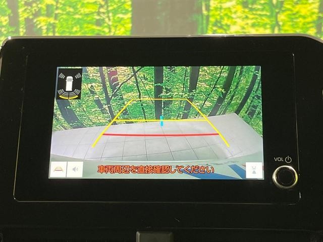 25591845_carP_l_10.jpg