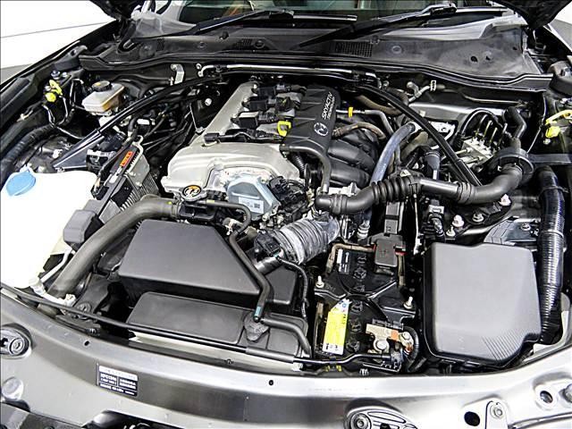 24950280_carP_l_20.jpg