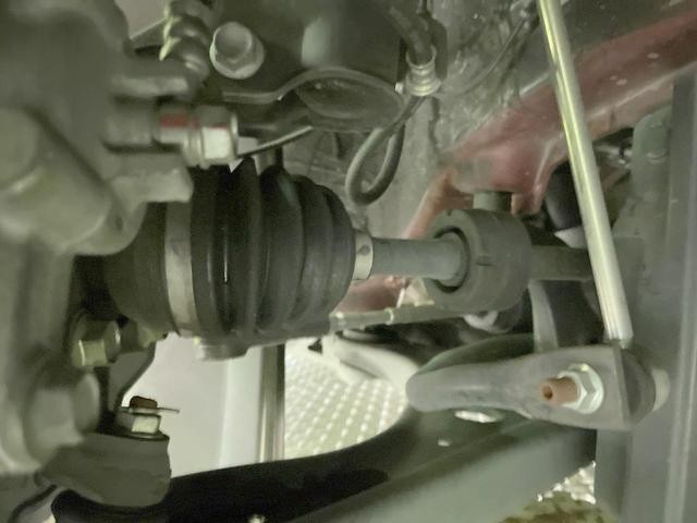 26063763_carP_l_20.jpg