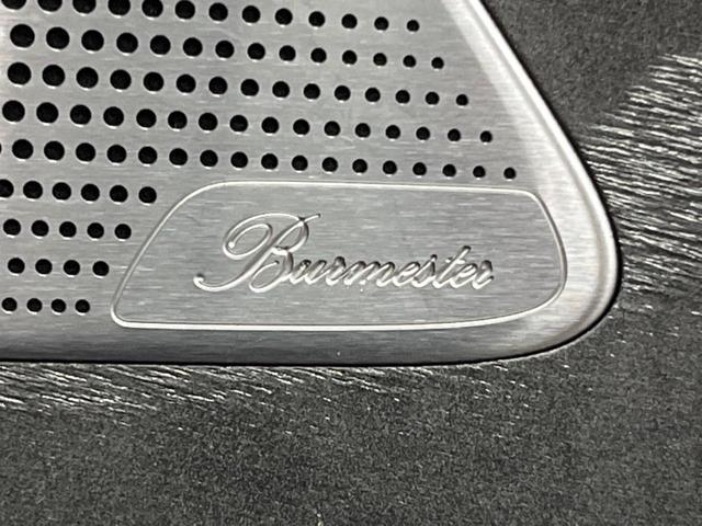 23281489_carP_l_10.jpg