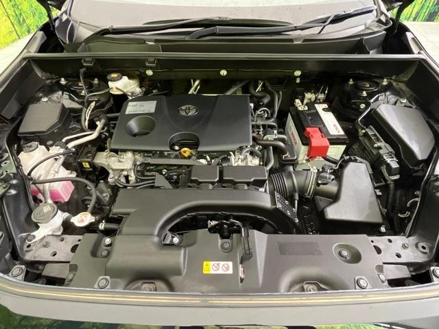 26063784_carP_l_16.jpg