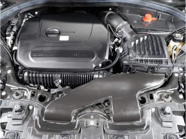 25236754_carP_l_14.jpg