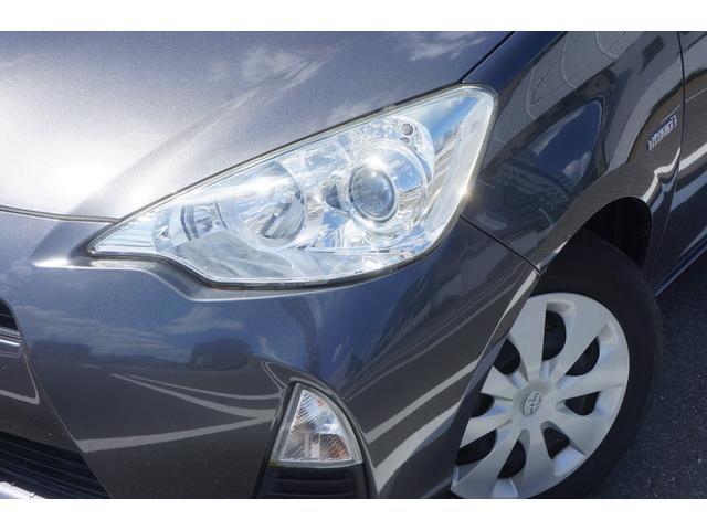24279642_carP_l_2.jpg