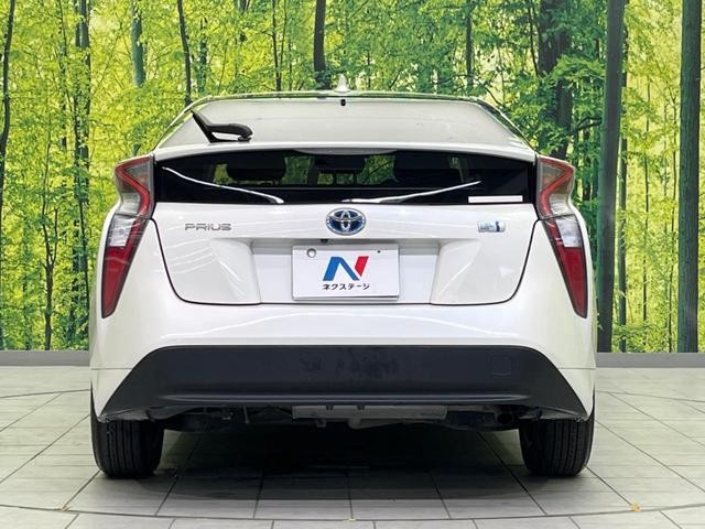 25323819_carP_l_9.jpg
