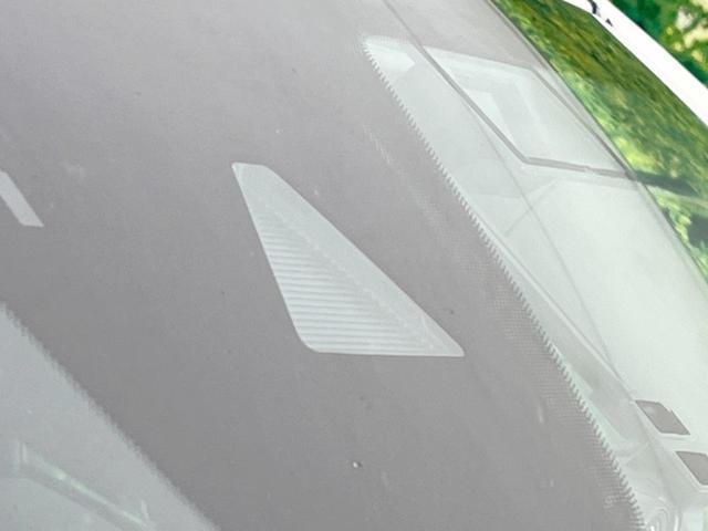 22855933_carP_l_10.jpg