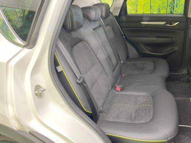 22855933_carP_l_19.jpg
