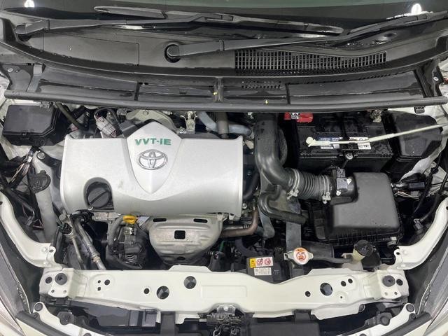 26084379_carP_l_20.jpg