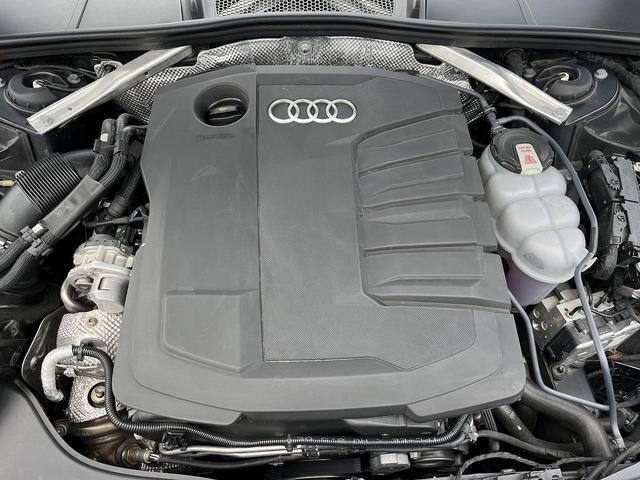 23960676_carP_l_7.jpg