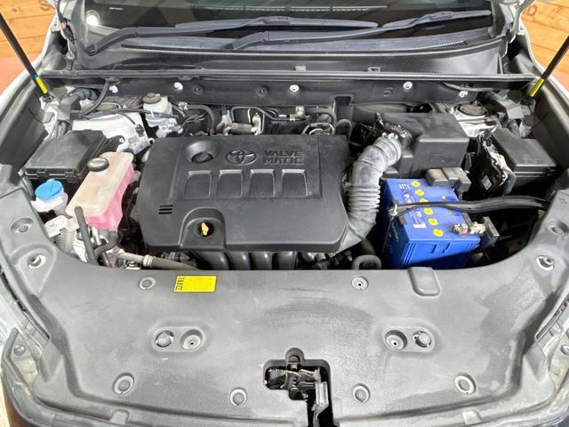 23458506_carP_l_12.jpg