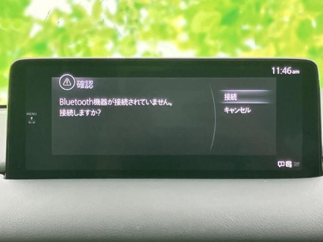 23870546_carP_l_5.jpg