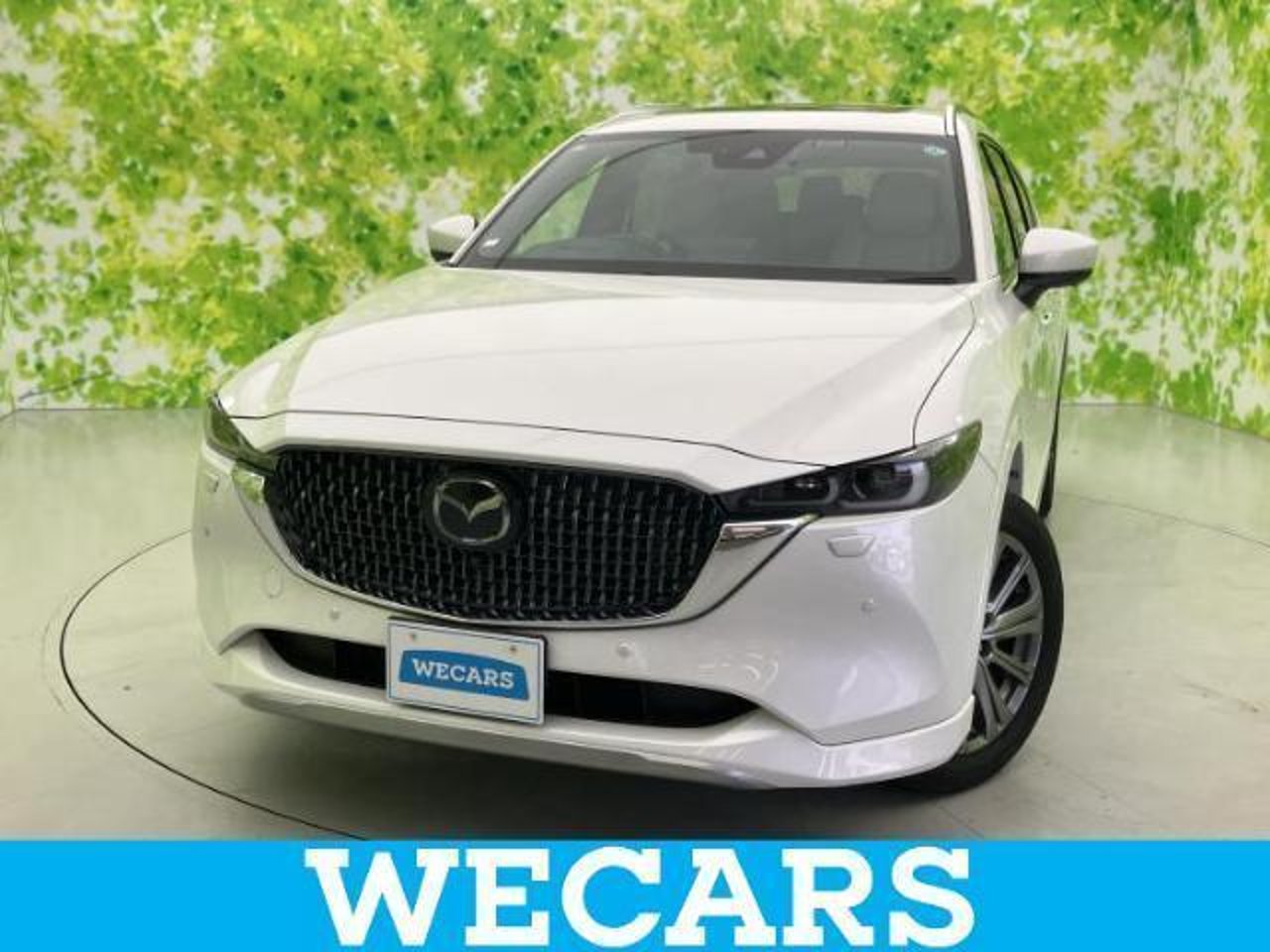 2023 Mazda Cx8, photo 1 of 1
