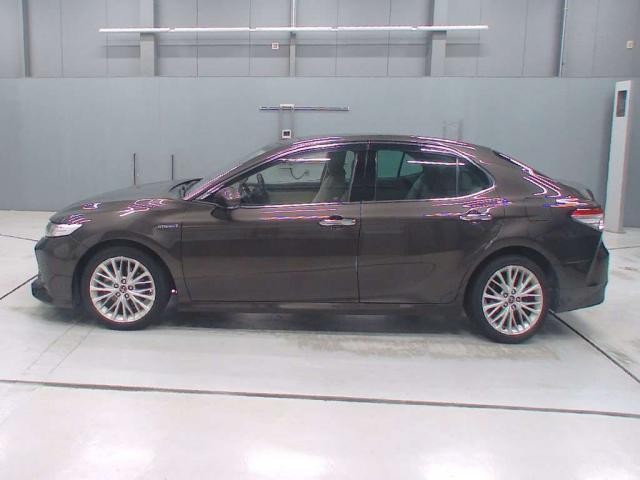 26935344_carP_l_2.jpg
