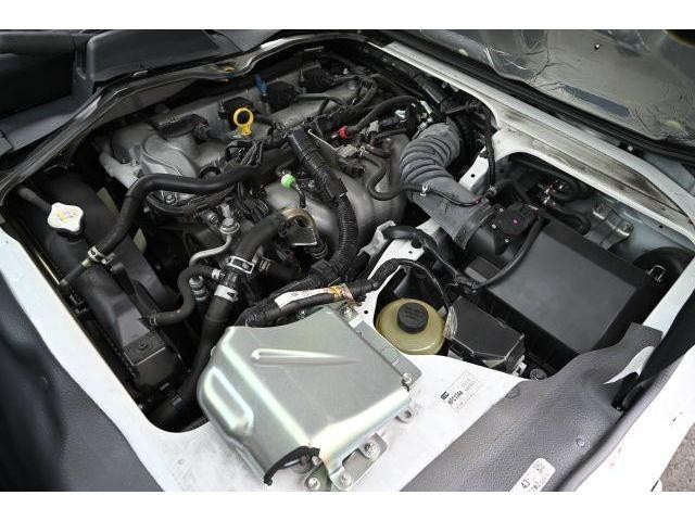 23267518_carP_l_17.jpg