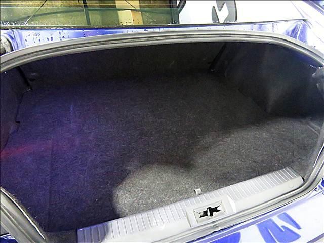 24805384_carP_l_18.jpg