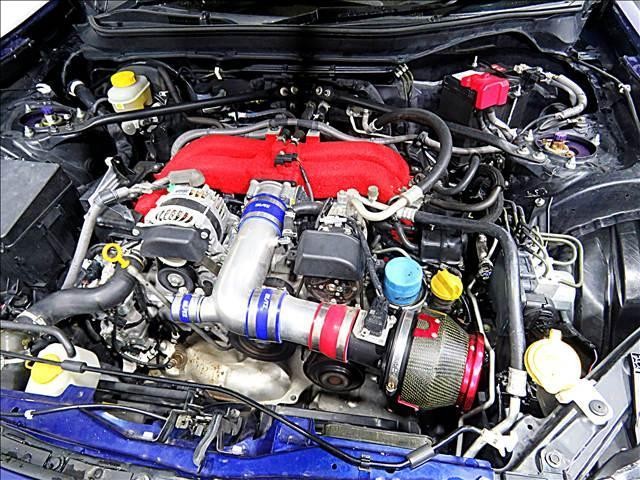 24805384_carP_l_20.jpg