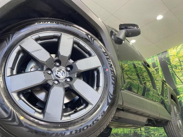 25303952_carP_l_7.jpg