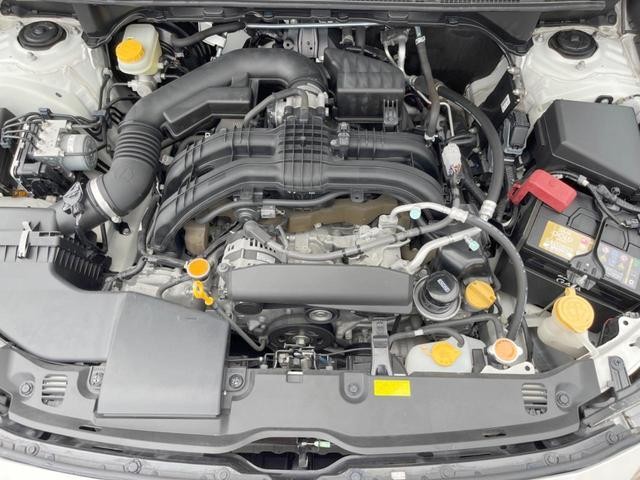 24869126_carP_l_16.jpg