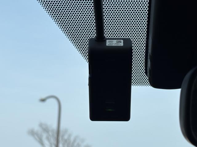 23125730_carP_l_17.jpg