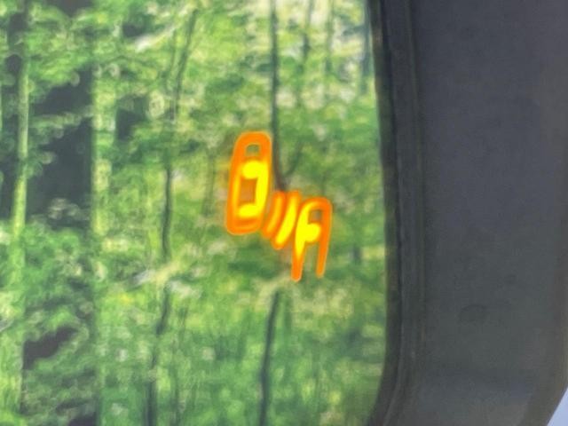 25138592_carP_l_14.jpg