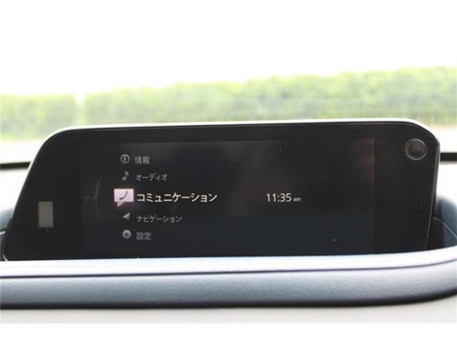 26821807_carP_l_15.jpg