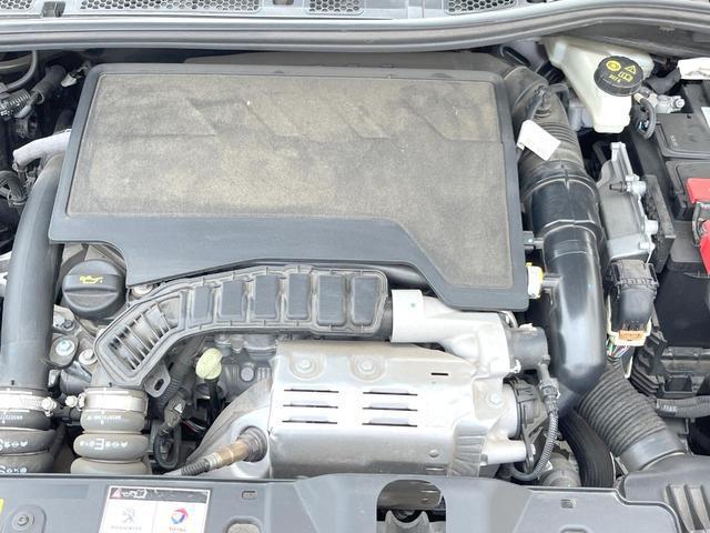 24029442_carP_l_18.jpg