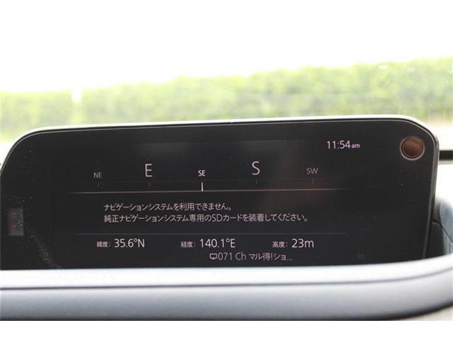 26821822_carP_l_14.jpg