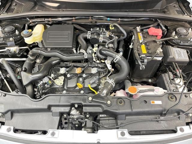 25283477_carP_l_20.jpg