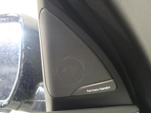 24416728_carP_l_19.jpg