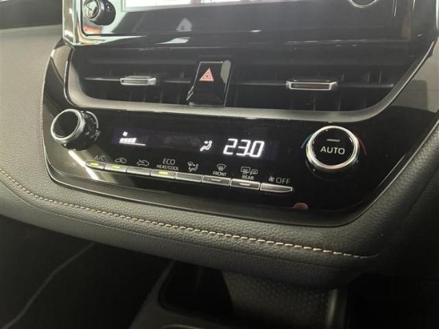 24526993_carP_l_6.jpg