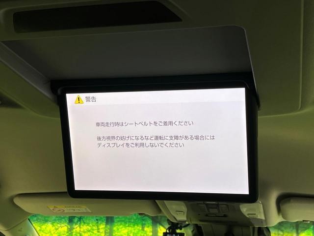 24340783_carP_l_10.jpg