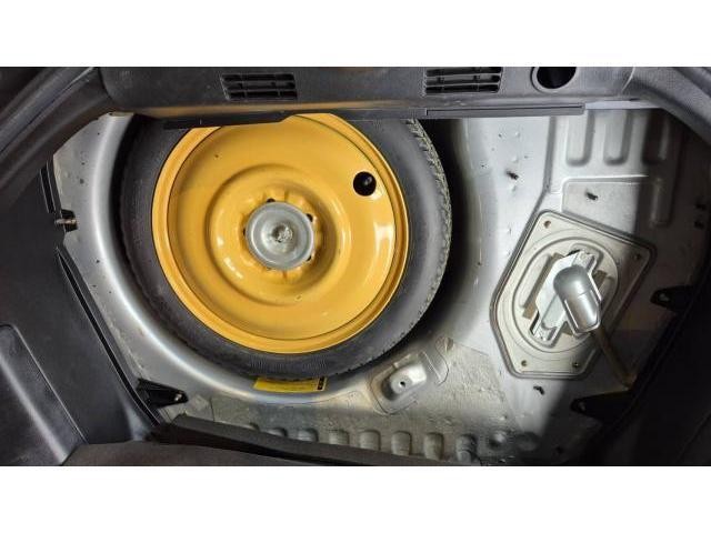 25695031_carP_l_20.jpg