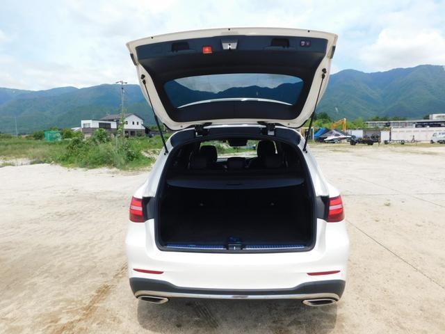 24974348_carP_l_11.jpg