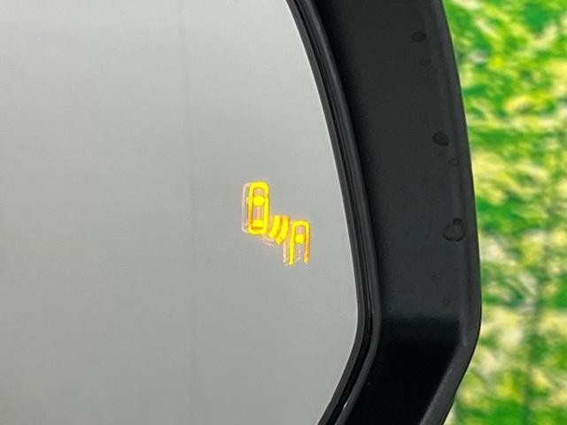 26293218_carP_l_14.jpg